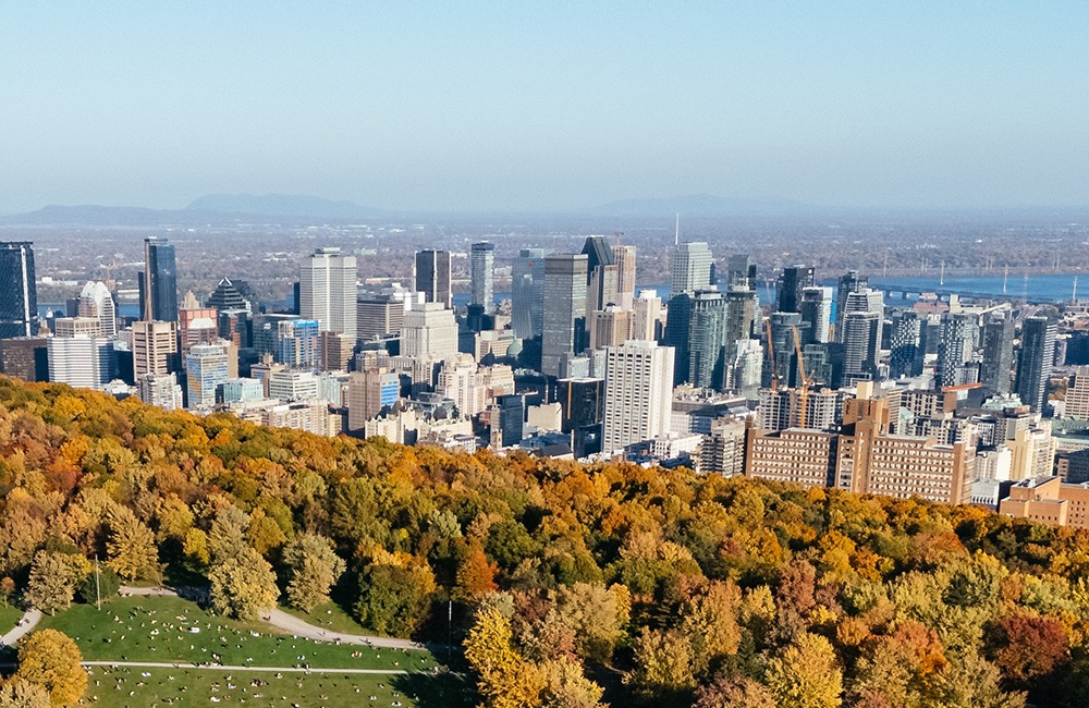 Cout total d'acquisition